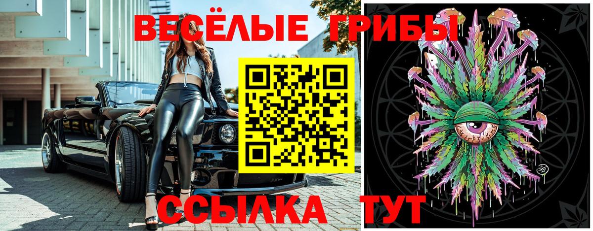 Псилоцибиновые грибы Magic Shrooms Гагарин